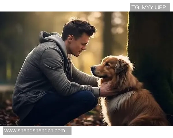 足球场上的猫咪情缘爱猫的明星球员们的温暖故事